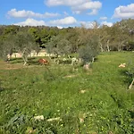 Agricampeggio Tenuta Ferrario