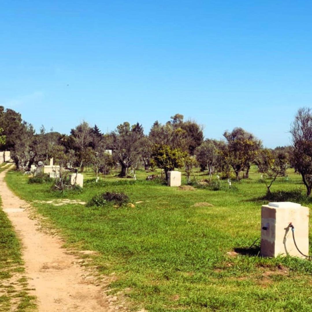 Agricampeggio Tenuta Ferrario Camping