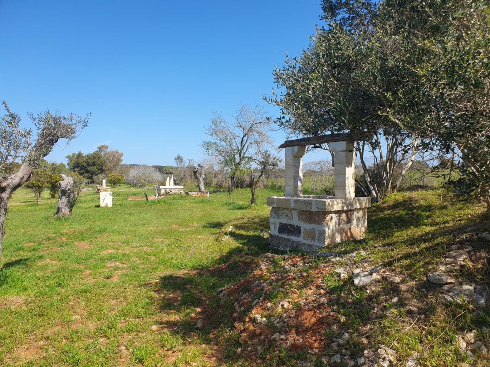 Agricampeggio Tenuta Ferrario